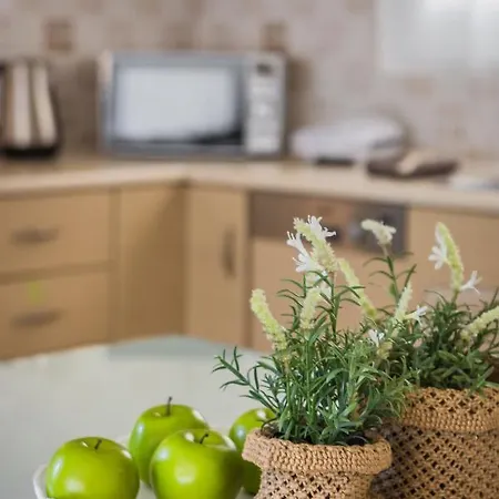 Irida Βίλα Αγία Ευφημία